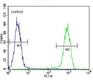 Flow Cytometric analysis of K562 cells labeling ELAVL2 with ab171414 at 1/10 dilution (right histogram) compared to a negative control cell (left histogram). FITC-conjugated goat-anti-rabbit secondary antibodies were used for the analysis.
