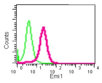 Flow cytometric analysis of HeLa cells (2% paraformaldehyde-fixed) labeling Emi1 with ab184950 at 1/180 dilution (red). Goat anti-rabbit IgG (FITC) at 1/150 dilution was used as the secondary antibody. Rabbit monoclonal IgG was used as the isotype control (green).