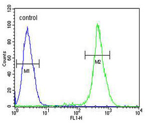 Flow Cytometric analysis of HeLa cells labelling emopamil binding protein with ab135745 at 1/10 dilution (green) compared to a negative control cell (blue). FITC-conjugated goat-anti-rabbit secondary antibodies were used for the analysis.