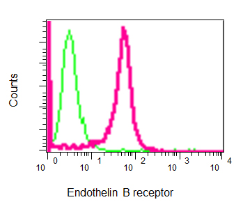 Flow cytometry analysis of unpermeabilized Raji cells labelling Endothelin B Receptor with ab129102 (red). A rabbit IgG was used as the negative control (green).