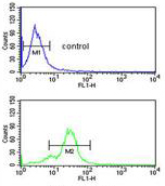 Flow Cytometric analysis of NCI-H460 cells labelling Endothelin B Receptor with ab135611 at 1/10 dilution (bottom histogram) compared to a negative control cell (top histogram). FITC-conjugated goat-anti-rabbit secondary antibodies were used for the analysis.