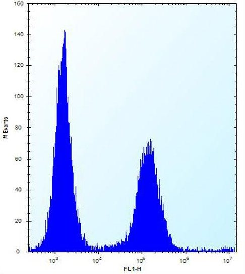 Flow Cytometrical analysis of Jurkat cells with ab171420 antibody at a dilution of 1/10 (right histogram) compared to a negative control cell (left histogram). FITC-conjugated donkey-anti-rabbit secondary antibodies were used for the analysis.