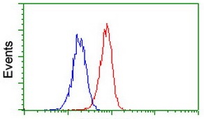 ab119303 at 1/100 dilution staining EPM2AIP1 in Jurkat cells by Flow cytometry (Red) compared to a nonspecific negative control antibody (Blue).