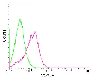 Flow cytometry analysis of HeLa cells labeling COX5A using ab180129 at 1/200 dilution. A Goat anti rabbit IgG (FITC) at 1/75 dilution was used as secondary antibody. Cells were fixed with 2% paraformaldehyde. Isotype control: Rabbit IgG.