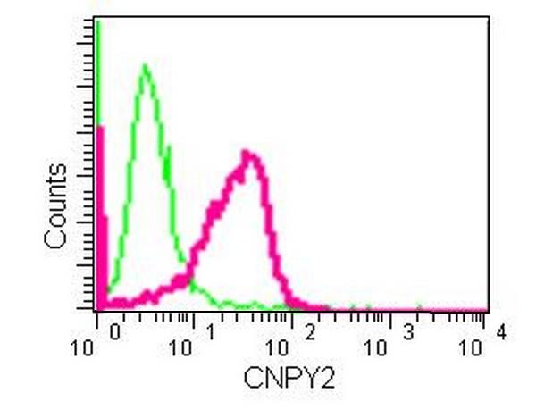 Flow cytometric analysis of HeLa cells (2% paraformaldehyde-fixed) labeling CNPY2 with ab181215 at 1/30 dilution (red) or a rabbit IgG (negative) (green), followed by Goat anti rabbit IgG (FITC) secondary at 1/150 dilution.
