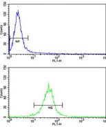 ab103969, at a 1/10 dilution, staining FAM91A1 in HeLa cells by Flow Cytometry (bottom histogram) compared to a negative control cell (top histogram). FITC-conjugated goat-anti-rabbit secondary antibodies were used for the analysis..