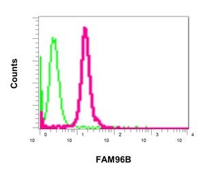 Flow Cytometrical analysis of permeabilized K562 cells with ab166607 antibody at 1/100 (red) compared to a rabbit IgG negative (green).