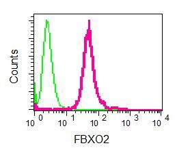 Flow cytometric analysis of permeabilized NIH 3T3 cells labelling FBXO2 with ab133717 at 1/10 (red) or a rabbit IgG negative control antibody (green).