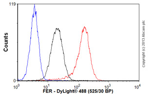 Overlay histogram showing Jurkat cells stained with ab52479 (red line). The cells were fixed with 4% paraformaldehyde (10 min) and then permeabilized with 0.1% PBS-Tween for 20 min. The cells were then incubated in 1x PBS / 10% normal goat serum / 0.3M glycine to block non-specific protein-protein interactions followed by the antibody (ab52479, 1/100 dilution) for 30 min at 22ºC. The secondary antibody used was DyLight® 488 goat anti-rabbit IgG (H+L) (ab96899) at 1/500 dilution for 30 min at 22ºC. Isotype control antibody (black line) was rabbit IgG (monoclonal) (1µg/1x106 cells) used under the same conditions. Unlabelled sample (blue line). Acquisition of >5,000 events were collected using a 20mW Argon ion laser (488nm) and 525/30 bandpass filter. This antibody gave a positive signal in Jurkat cells fixed with 80% methanol (5 min)/permeabilized with 0.1% PBS-Tween for 20 min used under the same conditions.