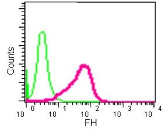 Flow cytometry analysis of 2% paraformaldehyde-fixed HeLa cells labeling FH with ab184945 at a 1/160 dilution (red) or negative control rabbit IgG (green). Secondary antibody goat anti-rabbit IgG (FITC) at a 1/150 dilution.