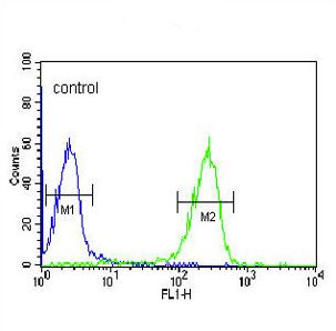Flow cytometric analysis of HL60 cells labeling FKBP11 with ab190101 at 1/10 dilution (right) compared to negative control (left). FITC-conjugated goat-anti-rabbit secondary antibodies were used for the analysis.