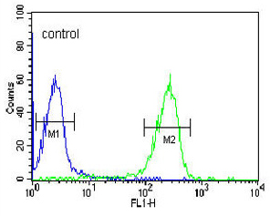 Flow Cytometric analysis of HL60 cells labeling FKBP11 with ab175570 at 1/10 dilution (right histogram) compared to a negative control cell (left histogram). FITC-conjugated goat-anti-rabbit secondary antibodies were used for the analysis.