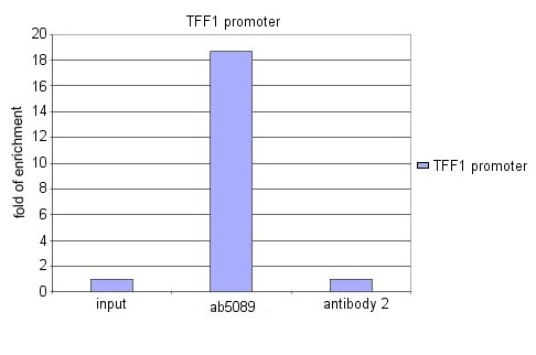 Goat polyclonal to FOXA1 antibody (ab5089) was used in a ChIP assay to detect in vivo binding of FOXA1/HNF3a to the promoter of the TFF1 gene in MCF-7 cells. The cells were fixed in 1% formaldehyde for 15 minutes at room temperature and ChIP was performed using 6µg/ml ab5089. Real-time PCR was used to quantify the enrichment of the TFF1 promoter in the FOXA1 ChIP'd DNA, using the input DNA as the reference. The results indicate that there is an 18-fold enrichment of the TFF1 promoter in the DNA ChIp'd with ab5089.  This image was submitted as part of a review.See Abreview