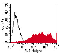 FACS analysis of BOSC23 cells using ab26316. BOSC23 cells were transiently transfected with with an expression vector containing either FPRL1 (red curve) or a control transfectant (black curve). Binding of ab26316 was detected using a PE-conjugated secondary antibody.