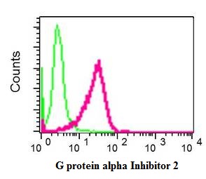 Flow cytometric analysis of permeabilized HeLa cells labelling G protein alpha Inhibitor 2 with ab137050 at dilution 1/10 (red) or a Rabbit IgG negative control (green).