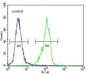 Flow cytometric analysis of 293 cells labeling Galanin with ab175487 antibody at 1/10 dilution (right histogram), compared to a negative control cell (left histogram). FITC-conjugated goat-anti-rabbit secondary antibodies were used for the analysis.