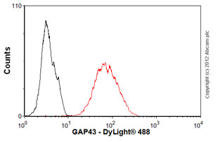 Overlay histogram showing SH-SY5Y cells stained with ab75810 (red line). The cells were fixed with 4% paraformaldehyde (10 min) and then permeabilized with 0.1% PBS-Tween for 20 min. The cells were then incubated in 1x PBS / 10% normal goat serum / 0.3M glycine to block non-specific protein-protein interactions followed by the antibody (ab75810, 1/100 dilution) for 30 min at 22ºC. The secondary antibody used was DyLight® 488 goat anti-rabbit IgG (H+L) (ab96899) at 1/500 dilution for 30 min at 22ºC. Isotype control antibody (black line) was rabbit IgG (monoclonal) (1µg/1x106 cells) used under the same conditions. Acquisition of >5,000 events was performed. This antibody gave a positive signal in SH-SY5Y cells fixed with 80% methanol (5 min)/permeabilized with 0.1% PBS-Tween for 20 min used under the same conditions.