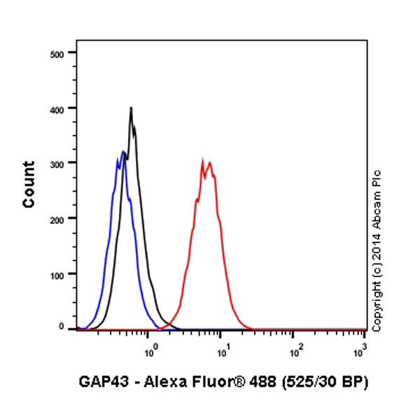 Overlay histogram showing U-87MG cells stained with ab196324 (red line). The cells were fixed with 80% methanol (5 min) and then permeabilized with 0.1% PBS-Tween for 20 min. The cells were then incubated in 1x PBS / 10% normal goat serum / 0.3M glycine to block non-specific protein-protein interactions followed by the antibody (ab196324, 1/500 dilution) for 30 min at 22°C. Isotype control antibody (black line) was rabbit IgG (monoclonal) Alexa Fluor® 488 used at the same concentration and conditions as the primary antibody. Unlabelled sample (blue line) was also used as a control.Acquisition of >5,000 events were collected using a 20mW Argon ion laser (488nm) and 525/30 bandpass filter.This antibody gave a positive signal in U-87MG fixed with 4% formaldehyde (10 min)/permeabilized with 0.1% PBS-Tween for 20 min used under the same conditions.