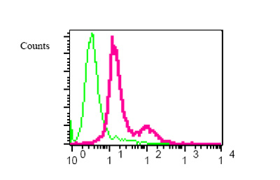 Flow cytometric analysis of permeabilized K562 cells using ab76121 at a 1/50 dilution (red) or a rabbit IgG (negative) (green).