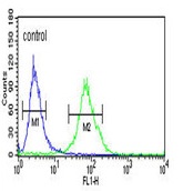 Flow Cytometry analysis of NCI-H460 cells labelling GBA (green) with ab175869, compared to a negative control cell (blue). A FITC-conjugated goat-anti-rabbit IgG was used as the secondary antibody.