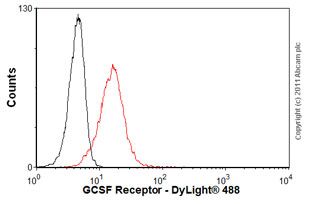 Overlay histogram showing U937 cells stained with ab19479 (red line). The cells were fixed with 4% paraformaldehyde (10 min) and then incubated in 1x PBS / 10% normal goat serum / 0.3M glycine to block non-specific protein-protein interactions. The cells were then incubated with the antibody (ab19479, 1µg/1x106 cells) for 30 min at 22ºC. The secondary antibody used was DyLight® 488 goat anti-mouse IgG (H+L) (ab96879) at 1/500 dilution for 30 min at 22ºC. Isotype control antibody (black line) was mouse IgG2b [PLPV219] (ab91366, 2µg/1x106 cells ) used under the same conditions. Acquisition of >5,000 events was performed.Please note that Abcam do not have any data for use of this antibody on non-fixed cells. We welcome any customer feedback.