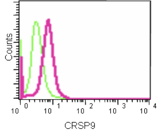 Flow Cytometrical analysis of HeLa cells labeling CRSP9 with ab187146 at 1/60 compared to a Isotype control. FITC-conjugated goat-anti-rabbit secondary antibody at 1/150 were used for the analysis.