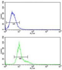 Flow cytometric analysis of NCI-H292 cells labeling glutathione S transferase Omega 1 with ab174253 at 1/10 (lower histogram) compared to a negative control cell (upper histogram). FITC-conjugated goat anti-rabbit secondary antibodies were used for the analysis.