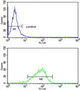 Flow cytometry analysis of HepG2 cells labeling Glycerol 3 Phosphate Dehydrogenase (green, bottom histogram), using ab175961 at a 1/10 dilution, and negative control cells (blue, top histogram). FITC-conjugated goat-anti-rabbit secondary antibodies were used for the analysis.