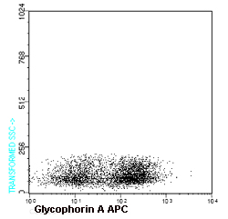 ab91163, at 20 µl/106 cells, staining Glycophorin A in normal Human bone marrow by Flow cytometry.
