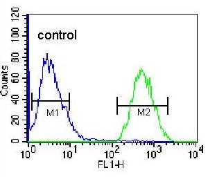 Flow cytometric analysis of 293 cells, labeling Glypican 6 using ab170523 at a 1/10 dilution (right histogram), compared to negative control cells (left histogram). FITC-conjugated goat-anti-rabbit secondary antibodies were used for the analysis.