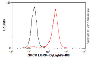 Overlay histogram showing LoVo cells stained with ab126747 (red line). The cells were fixed with 80% methanol (5 min) and then permeabilized with 0.1% PBS-Tween for 20 min. The cells were then incubated in 1x PBS / 10% normal goat serum / 0.3M glycine to block non-specific protein-protein interactions followed by the antibody (ab126747, 1/100 dilution) for 30 min at 22ºC. The secondary antibody used was DyLight® 488 goat anti-rabbit IgG (H+L) (ab96899) at 1/500 dilution for 30 min at 22ºC. Isotype control antibody (black line) was rabbit IgG (monoclonal) (1µg/1x106 cells) used under the same conditions. Acquisition of >5,000 events was performed.