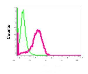 Flow cytometry analysis of permeabilized HeLa cells labeling GRASP65 with ab174834 at 1/10 dilution (red), or negative control rabbit IgG (green).