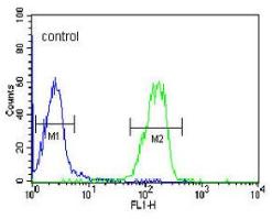 Flow cytometric analysis of HL60 cells (green) compared to a negative control cell (blue) using ab176011 at a 1/10 dilution. FITC-conjugated goat-anti-rabbit secondary antibodies were used for the analysis.