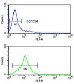 Flow cytometric analysis of Jurkat cells (bottom histogram) labelling Growth Arrest Specific Protein 7 with ab135591 at 1/10 dilution, compared to a negative control cell (top histogram). FITC-conjugated Goat-anti-Rabbit secondary antibodies were used for the analysis.
