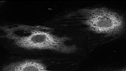 Immunostaining of mouse embryonic fibroblasts with ab3674. (See Nakamura et al. 2001).