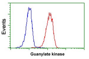 Flow cytometric analysis of Guanylate kinase in Jurkat cells using ab119063 at 1/100 dilution (Red) compared to a nonspecific negative control antibody (Blue).