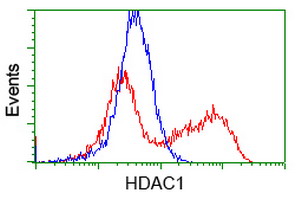 HEK293T cells transfected with either RC201745 overexpress plasmid (Red) or empty vector control plasmid (Blue) were immunostained by ab114030 at 1/100 and then analyzed by flow cytometry