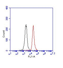 ab123449 at 0.125µg/ml staining Ctip2 in Jurkat cells by Flow Cytometry (red) or an equal amount of an FITC conjugated control antibody (black) in 3% BSA block.The Jurkat cells show a clear CTIP2 specific signal