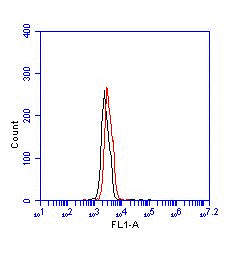 ab123449 at 0.125µg/ml staining Ctip2 in SH-SY5Y cells by Flow Cytometry (red) or an equal amount of an FITC conjugated control antibody (black) in 3% BSA block. The SH-SY5Y cells do not show significant CTIP2 signal over the negative control signal.