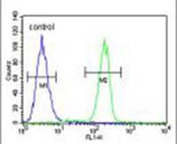 Flow cytometric analysis of A375 cells (right histogram) compared to a negative control cell (left histogram) using ab135582 at 1/10 dilution. FITC-conjugated goat-anti-rabbit secondary antibodies were used for the analysis.