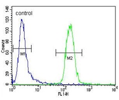 Flow Cytometric analysis of CEM cells labelling Cytochrome P450 3A4 with ab135813 at 1/10 dilution (right histogram) compared to a negative control cell (left histogram). FITC-conjugated goat-anti-rabbit secondary antibodies were used for the analysis.