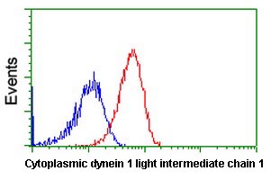 ab123901, at a 1/100 dilution, staining Cytoplasmic dynein 1 light intermediate chain 1 in Hela cells (Red) by Flow Cytometry, compared to a nonspecific negative control antibody (Blue).