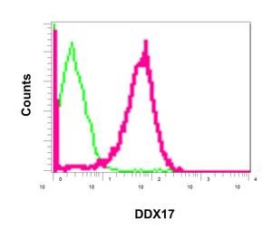 Flow Cytometrical analysis of permeabilized MCF7 cells labeling DDX17 with ab180190 at 1/10 (red) or a rabbit IgG negative (green).