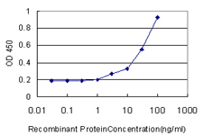 ab115744 binding to recombinant Decorin by ELISA. Detection limit for recombinant tagged Decorin is approximately 1 ng/ml as a capture antibody.