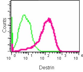 Flow cytometric analysis of 2% paraformaldehyde-fixed MCF-7 cells labeling Destrin with ab186754 at 1/360 dilution (red) compared to a Rabbit monoclonal IgG isotype control (green), followed by Goat anti rabbit IgG (FITC) secondary antibody at 1/150 dilution.