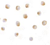 ab8408 at 5µg/ml staining DFFBin Jurkat cells by ICC/IF