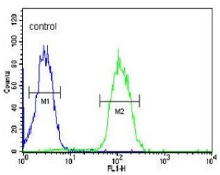 Flow cytometric analysis of MDA-MB435 cells labeling DHRS7 with ab175091 at 1/10 dilution (right histogram), compared to a negative control cell (left histogram). FITC-conjugated goat anti-rabbit secondary antibodies were used for the analysis.