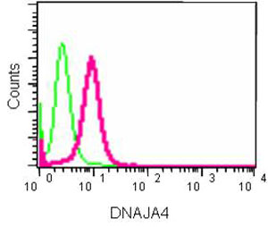Flow cytometric analysis of DNAJA4 in 2% paraformaldehyde HeLa cells using ab185553 at 1/300 dilution (pink). Secondary antibody: Goat anti rabbit IgG (FITC) at 1/150 dilution. Isotype control: Rabbit monoclonal IgG (green).