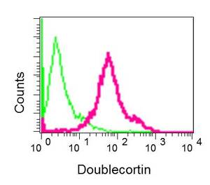 Flow cytometric analysis of permeabilized C6 cells labeling Doublecortin with ab167400 at 1/100 dilution (red) or a Rabbit IgG (negative)(green).