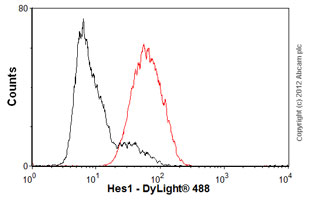 Overlay histogram showing SH-SY5Y cells stained with unpurified ab108937 (red line). The cells were fixed with 80% methanol (5 min) and then permeabilized with 0.1% PBS-Tween for 20 min. The cells were then incubated in 1x PBS / 10% normal goat serum / 0.3M glycine to block non-specific protein-protein interactions. The cells were then incubated with the antibody (ab108937, 1/100 dilution) for 30 min at 22ºC. The secondary antibody used was DyLight® 488 goat anti-rabbit IgG (H+L) (ab96899) at 1/500 dilution for 30 min at 22ºC. Isotype control antibody (black line) was rabbit IgG (monoclonal) (1µg/1x106 cells) used under the same conditions. Acquisition of >5,000 events was performed.